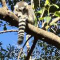 small_img_4881.jpg