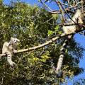 small_img_4884.jpg