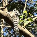 small_img_4886.jpg
