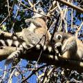 small_img_4892.jpg