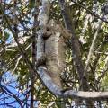 small_img_4894.jpg