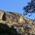 small_img_4905.jpg