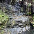 small_img_4907.jpg