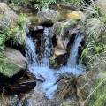 small_img_4912.jpg