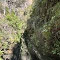 small_img_4914.jpg