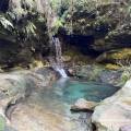 small_img_4915.jpg