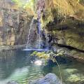 small_img_4920.jpg