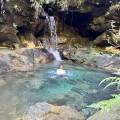 small_img_4926.jpg