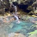 small_img_4927.jpg