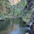 small_img_4945.jpg