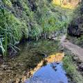 small_img_4949.jpg