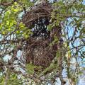 small_img_5136.jpg