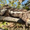 small_img_5145.jpg