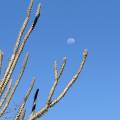 small_img_5148.jpg