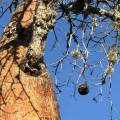 small_img_5168.jpg