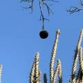 small_img_5175.jpg