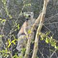 small_img_5177.jpg