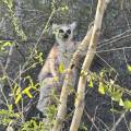 small_img_5178.jpg