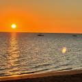 small_img_5180.jpg