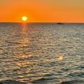 small_img_5182.jpg