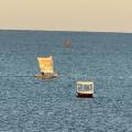 small_img_5184.jpg