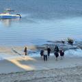 small_img_5192.jpg