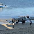 small_img_5193.jpg
