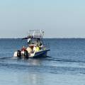 small_img_5203.jpg