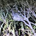 small_img_5219.jpg