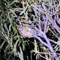small_img_5222.jpg