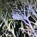 small_img_5227.jpg