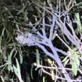 small_img_5228.jpg