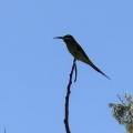 small_img_5240.jpg