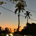 small_img_5245.jpg