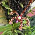 small_img_8354.jpg