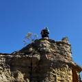 small_img_8777.jpg